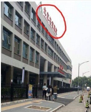 张玑晴神效果明显